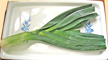  leek stalk