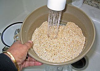 quinoa rinsed